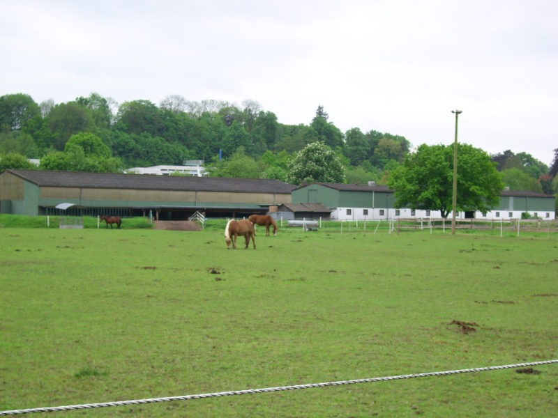 Referenzen Gutachten Landwirtschaft